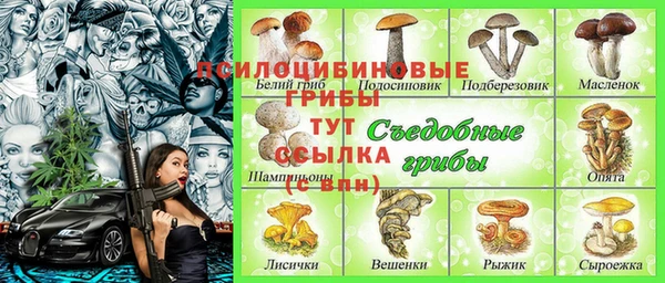 хмурый Пенза