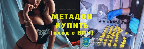 индика Нижний Тагил