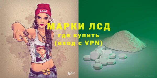 индика Нижний Тагил
