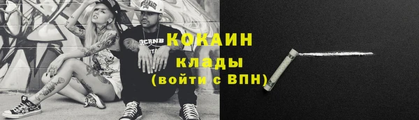 индика Нижний Тагил