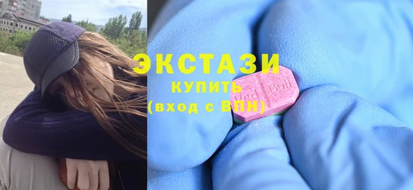 индика Нижний Тагил