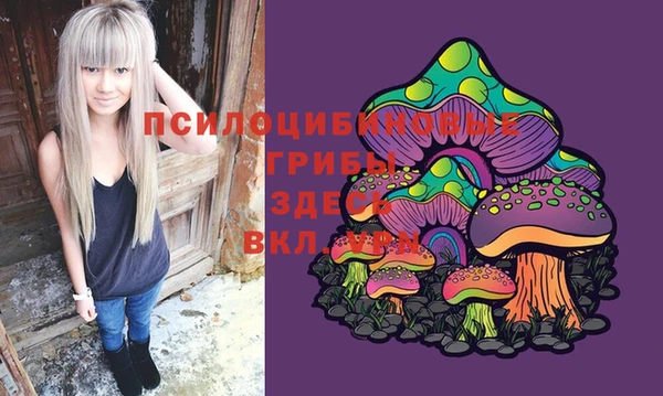 индика Нижний Тагил