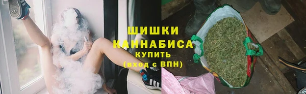 индика Нижний Тагил