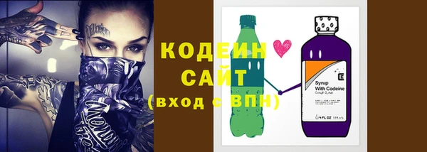 индика Нижний Тагил