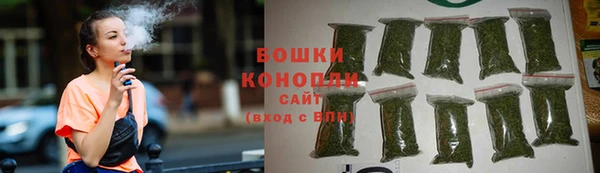 индика Нижний Тагил