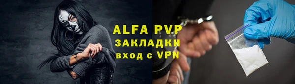 индика Нижний Тагил