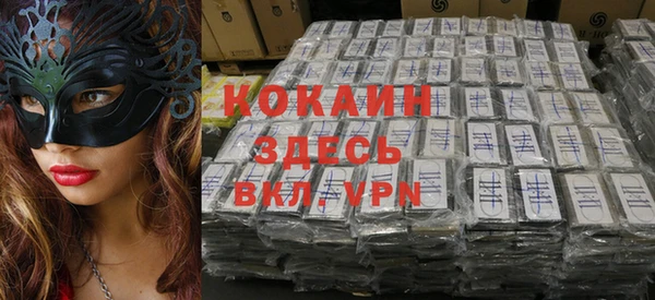 индика Нижний Тагил