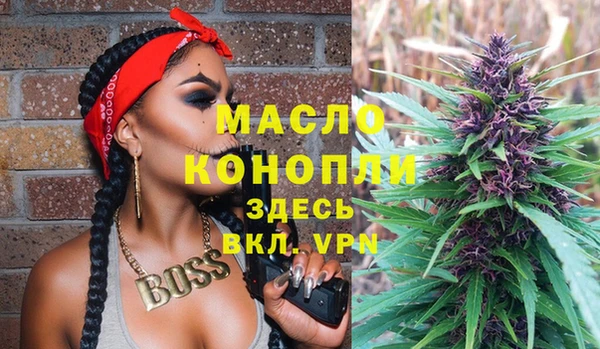 индика Нижний Тагил