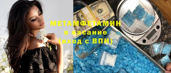 индика Нижний Тагил
