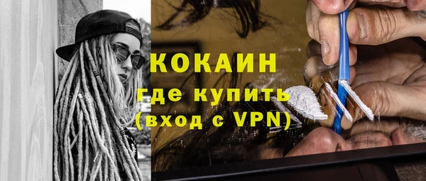 индика Нижний Тагил