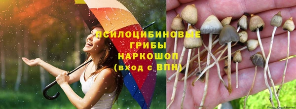 каннабис Архангельск