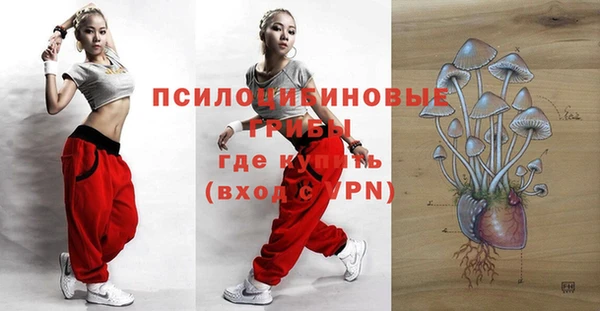 индика Нижний Тагил