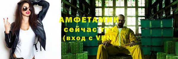 индика Нижний Тагил