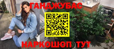 бошки Гагарин