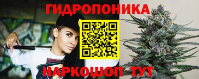 бошки Гагарин