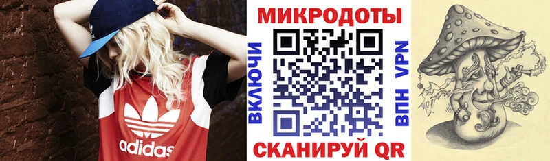 Псилоцибиновые грибы Cubensis  OMG онион  Анапа 