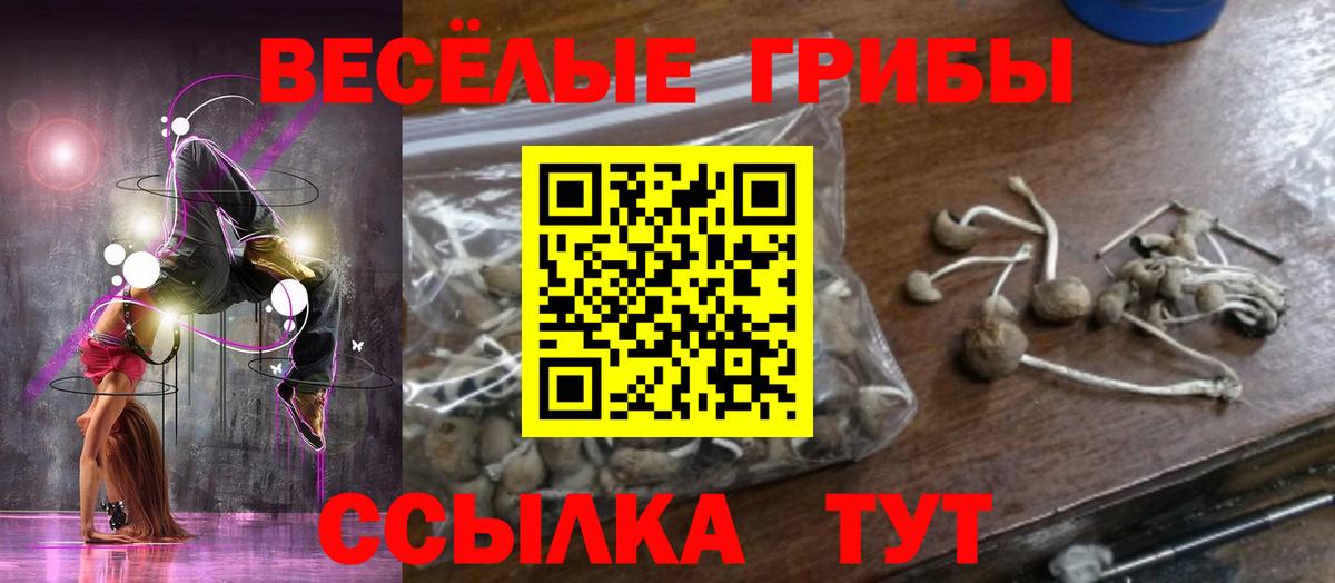 Псилоцибиновые грибы GOLDEN TEACHER  Анапа 