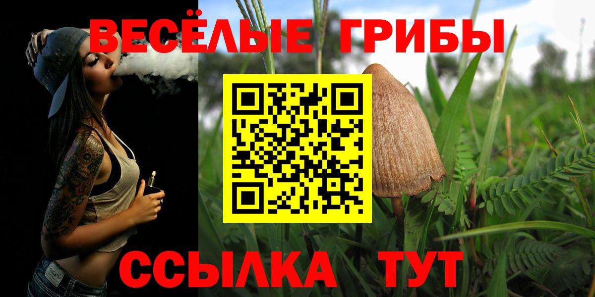 Анапа  закладки  Вход с VPN  Псилоцибиновые грибы MAGIC MUSHROOMS 