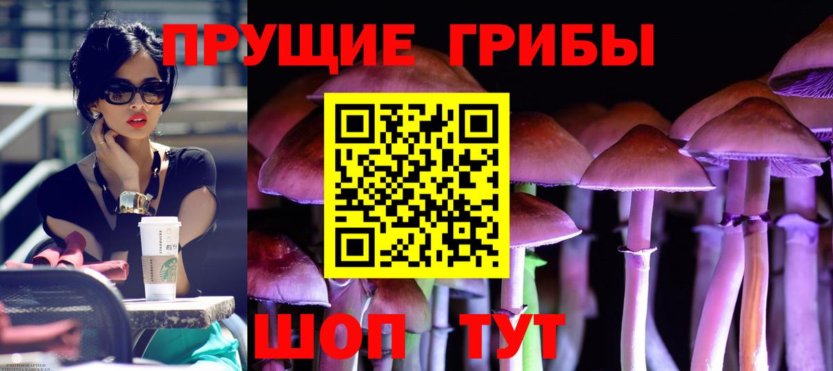 Псилоцибиновые грибы Psilocybe Анапа